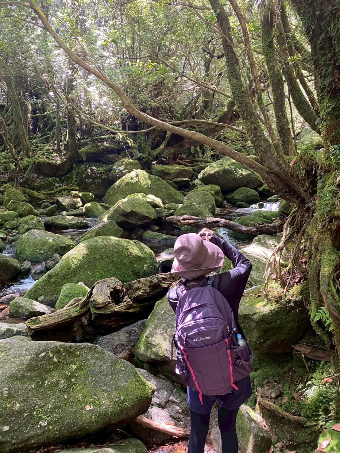 初めての屋久島旅行｜行く前に知りたかった注意点まとめ