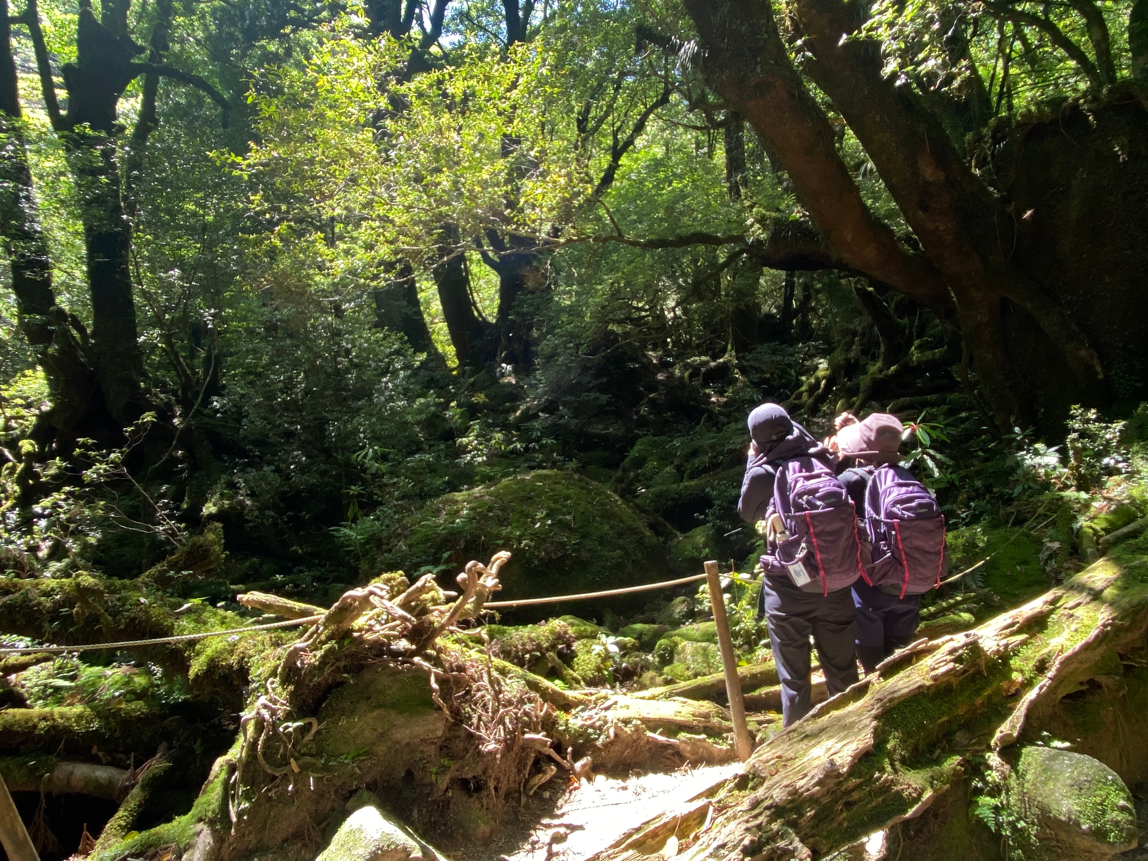 屋久島旅行の持ち物リスト|登山超初心者が実際に必要だったもの・いらなかったもの【日焼け対策も】